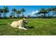 Fenced dog park with shaded seating areas at 13848 Rinuccio St, Venice, FL 34293