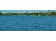 Serene lake view with lush greenery and a gazebo in the background at 13848 Rinuccio St, Venice, FL 34293