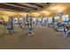 Modern fitness center with cardio and strength equipment at 20391 Lagente Cir, Venice, FL 34293