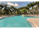 Relaxing kidney-shaped pool surrounded by palm trees at 4245 Via Del Villetti Dr, Venice, FL 34293