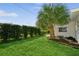 Side yard with hedge, palm tree and well manicured lawn at 352 Gardenia Rd, Venice, FL 34293