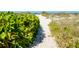 Sandy path lined with lush vegetation leading to the beach at 5581 Linksman Pl, North Port, FL 34287