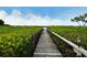 Wooden boardwalk path leads to waterfront views at 784 Sarabay Rd # 18, Osprey, FL 34229