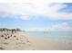 Expansive beach with calm ocean and blue sky at 815 Montrose Dr # 103, Venice, FL 34293
