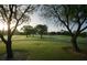 Scenic golf course with lush green fairways and mature trees at 815 Montrose Dr # 103, Venice, FL 34293