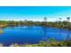 Serene lake view with lush greenery at 9920 Sheltering Spruce St, Englewood, FL 34223