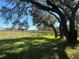 Large backyard with mature oak trees and grassy area at 1114 S Narramore St, North Port, FL 34287