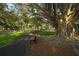 Park with a large tree, benches, and walking paths at 126 Venice East Blvd, Venice, FL 34293