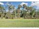 View of a natural landscape with palm trees at 169 N Cayman Isles Blvd, Englewood, FL 34223