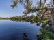 Serene lake view with lush vegetation and calm waters at 3181 Nekoosa St, North Port, FL 34287