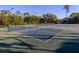 Enjoy tennis and pickleball on these courts at 7236 Cedar Hollow Cir # 11-202, Bradenton, FL 34203