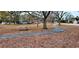 Paved pathway winds through a park with trees at 250 Santa Maria St # 219, Venice, FL 34285