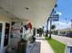Fossil and Mineral shop with posters, and an 'Open' flag, surrounded by tropical palm trees at 250 Santa Maria St # 219, Venice, FL 34285