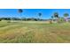 Landscaped golf course with palm trees and a bridge at 927 Capri Isles Blvd # 5, Venice, FL 34292