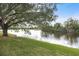 Serene lakefront view with lush green grass and a large oak tree at 97 Robina St, Port Charlotte, FL 33954