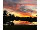 Stunning sunset over calm water, palm trees silhouette at 1745 S Gondola Ct, Venice, FL 34293