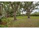 Spacious backyard with large trees and green grass at 263 Southampton Dr # 301, Venice, FL 34293
