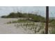 View of beach dunes with sea grasses at 832 Pineland Ave, Venice, FL 34285