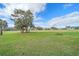 View of a manicured golf course green with trees, palm trees, and homes in the background at 1211 Capri Isles Blvd # 58, Venice, FL 34292