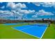 Two blue pickleball courts on a green lawn at 19225 Jacinda St, Venice, FL 34293