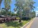 Lush roadside landscaping with palm trees and colorful foliage at 20100 Ragazza Cir # 101, Venice, FL 34293
