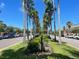 Palm tree-lined street with shops and parked cars on both sides at 20100 Ragazza Cir # 101, Venice, FL 34293