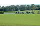 Golfer practicing on a lush green golf course at 275 Royal Oak Way, Venice, FL 34292