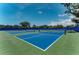 Well-maintained pickleball courts with ample space for recreation at 11539 Okaloosa Dr, Venice, FL 34293