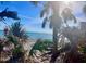 Tropical beach view through palm trees at 1640 Lemon Bay Dr, Venice, FL 34293