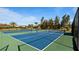 Two well-maintained pickleball courts with green and blue surfaces at 287 Cassano Dr, Nokomis, FL 34275