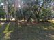 Landscaped area with lush greenery, palm trees and grass at 723 S Green Cir, Venice, FL 34285