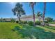 Expansive backyard with lush lawn and mature landscaping, providing privacy and a serene outdoor space at 11679 Anhinga Ave, Venice, FL 34292