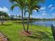 Picturesque backyard view with lush green grass, a serene lake, and framed by two palm trees at 5930 Anise Dr, Sarasota, FL 34238