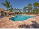Relax in this community pool surrounded by palm trees, lounge chairs, and serene landscaping for a perfect tranquil retreat at 11601 Parrotfish St, Venice, FL 34292