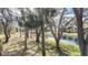 Scenic view of the community pond surrounded by mature trees and lush landscaping at 654 Bird Bay E Dr # 206, Venice, FL 34285
