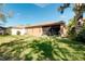Large backyard features a well-maintained lawn and tropical palm trees at 107 Corte Del Rosa, Venice, FL 34285
