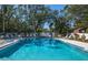 Aerial view of the community swimming pool with chairs and trees surrounding it, creating a relaxing oasis at 237 Southampton Ln # 275, Venice, FL 34293