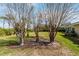 Landscaped backyard showcasing decorative trees and greenery, creating a serene and visually appealing outdoor space at 407 Rubens Dr, Nokomis, FL 34275