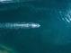 Aerial view of a boat cruising on the ocean's surface, creating a beautiful display of ocean travel at 746 Eagle Point Dr, Venice, FL 34285