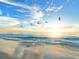 Scenic beach view featuring white sand, ocean waves, and birds flying above the water during sunrise at 746 Eagle Point Dr, Venice, FL 34285