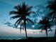 Tropical palm trees silhouetted against a dark sunset sky create a dramatic and serene scene at 746 Eagle Point Dr, Venice, FL 34285