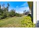 Serene backyard with lush greenery and a glimpse of the screened patio at 1298 Highland Greens Dr, Venice, FL 34285