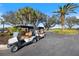 Close-up of golf carts parked near the lush, green golf course, promising a day of leisure and recreation at 1298 Highland Greens Dr, Venice, FL 34285