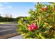 Lush landscaping with colorful flowers and greenery, enhancing the curb appeal and natural beauty of the property at 1298 Highland Greens Dr, Venice, FL 34285
