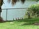 Scenic view of the backyard featuring ducks near the water. Serene setting at 424 Shade Ter, Venice, FL 34293
