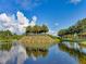 Picturesque lake featuring an island crowned with palm trees, framed by lush greenery and reflected in still waters at 4340 Via Del Santi, Venice, FL 34293