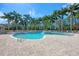 Large community pool area with mature palm trees and plenty of comfortable seating and lounges at 4340 Via Del Santi, Venice, FL 34293