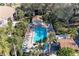 Aerial view of a sparkling community pool surrounded by sun loungers, umbrellas, and lush tropical landscaping at 630 Bird Bay E Dr # 208, Venice, FL 34285