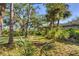 Private backyard with lush greenery, native landscaping, and mature trees offering a serene and natural setting at 1115 Gladstone Blvd, Englewood, FL 34223