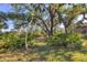 Overgrown backyard featuring native Florida landscaping, creating a tranquil and secluded outdoor space at 1115 Gladstone Blvd, Englewood, FL 34223
